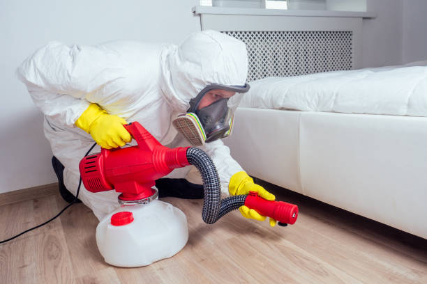 Best Pest Control Treatment  in USA